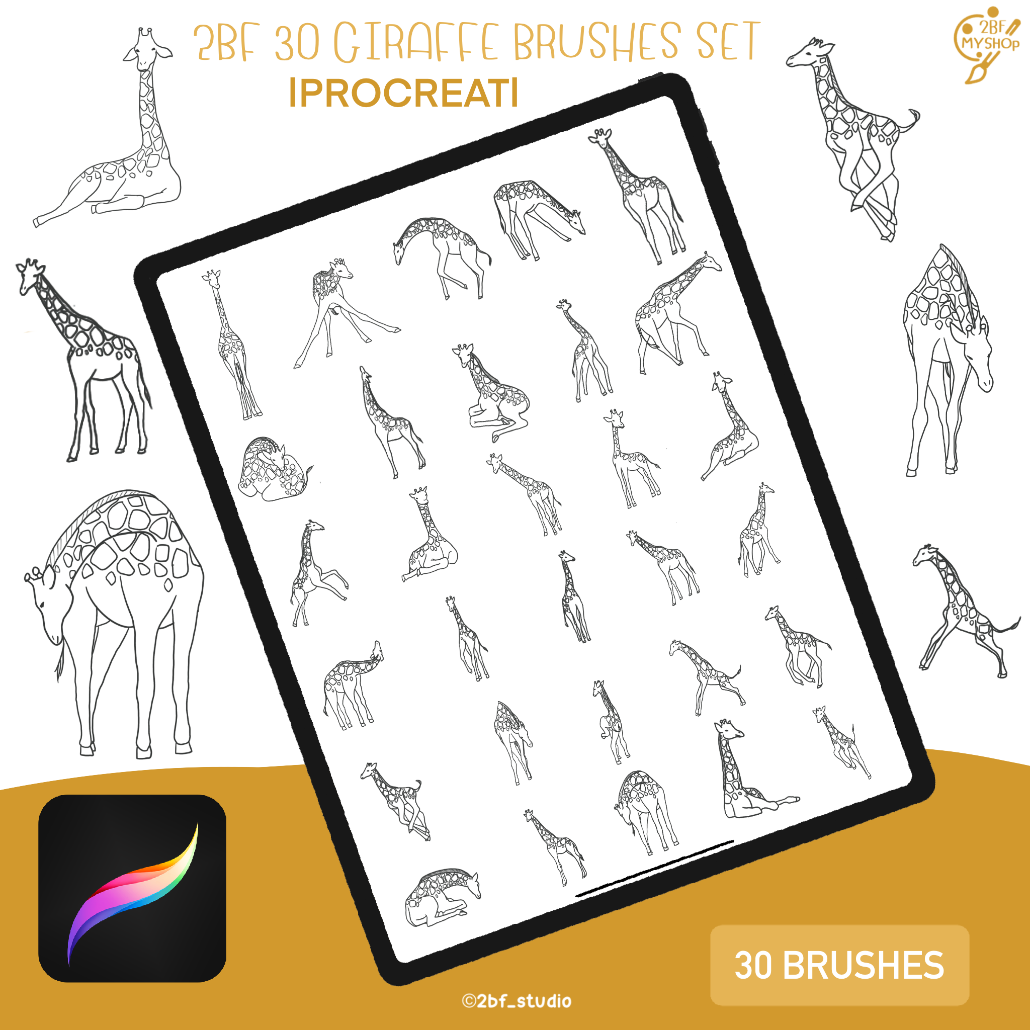 2BF 30 GIRAFFE BRUSHES