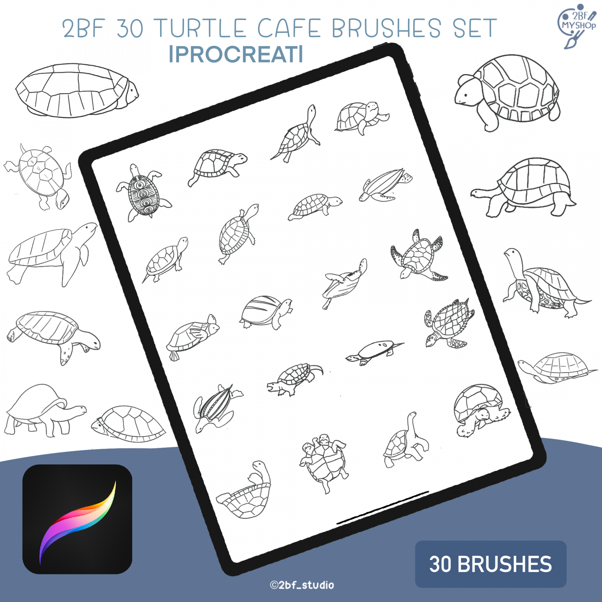 2BF 30 TURTLE CAFE BRUSHES SET |PROCREAT BRUSHED|